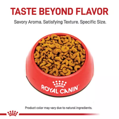 Product Royal Canin American Shorthair Adult Cat Food 5.5LB