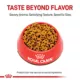 Product Royal Canin American Shorthair Adult Cat Food 5.5LB