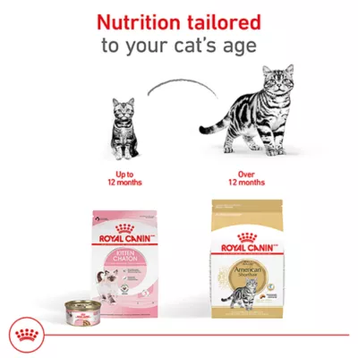 Product Royal Canin American Shorthair Adult Cat Food 5.5LB