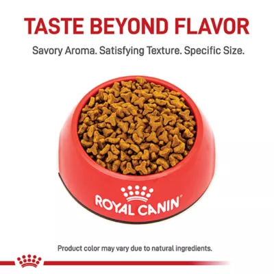 Product Royal Canin Feline Bengal Adult Dry Cat Food, Breed Nutrition