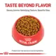Product Royal Canin Feline Bengal Adult Dry Cat Food, Breed Nutrition