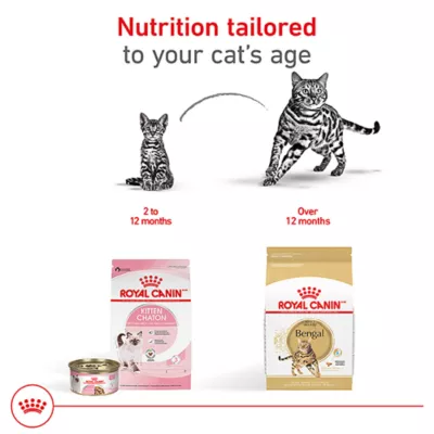Product Royal Canin Feline Bengal Adult Dry Cat Food, Breed Nutrition
