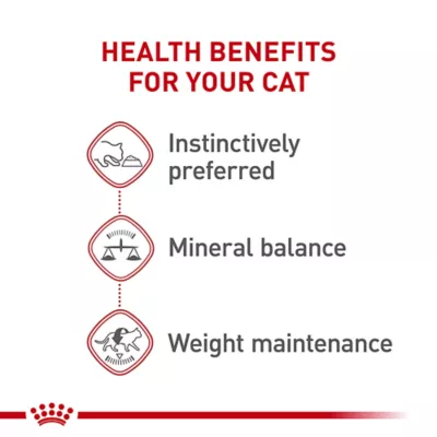 Product Royal Canin Adult Instinctive 5.1 OZ