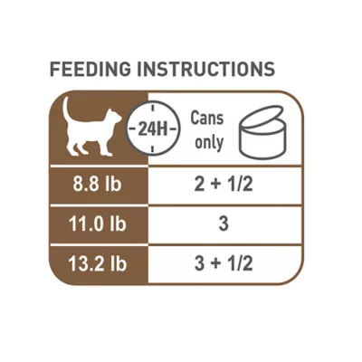 Product Royal Canin Feline Health Aging 12+ Thin Slices in Gravy 36 OZ