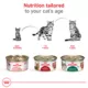 Product Royal Canin Adult 7+ Thin Slices in Gravy MP 12 CT 36 OZ