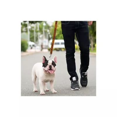Product Pets First Washington Commanders Satin Dog Leash