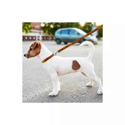 Product Pets First Washington Commanders Satin Dog Leash