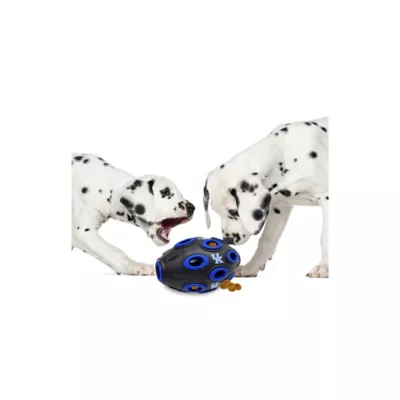 Product Pets First Kentucky Wildcats Treat Dispenser Dog Toy