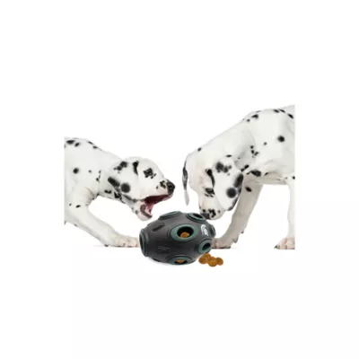 Product Pets First Michigan State Spartans Treat Dispenser Dog Toy