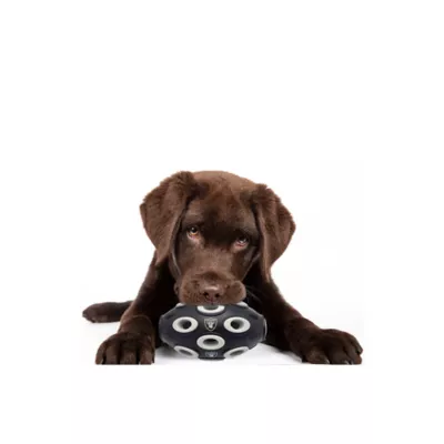 Product Pets First Las Vegas Raiders Treat Dispenser Dog Toy