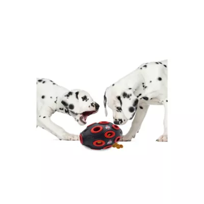 Product Pets First Ohio State Buckeyes Treat Dispenser Dog Toy