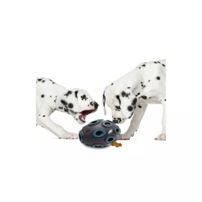 Product Pets First Philadelphia Eagles Treat Dispenser Dog Toy