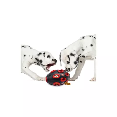 Product Pets First San Francisco 49ers Treat Dispenser Dog Toy
