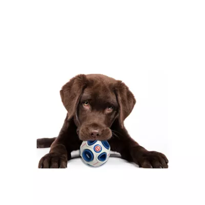 Product Pets First Chicago Cubs Treat Dispenser Dog Toy