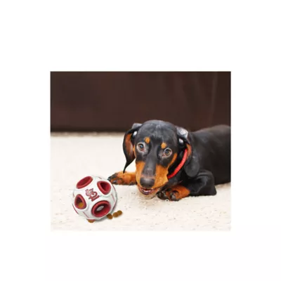 Product Pets First St. Louis Cardinals Treat Dispenser Dog Toy
