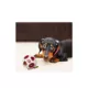 Product Pets First St. Louis Cardinals Treat Dispenser Dog Toy