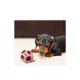 Product Pets First Boston Red Sox Treat Dispenser Dog Toy