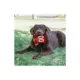 Product Pets First San Francisco 49ers Jersey Tough Dog Toy
