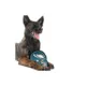 Product Pets First Philadelphia Eagles Helmet Tough Dog Toy