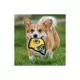 Product Pets First Green Bay Packers Helmet Tough Dog Toy