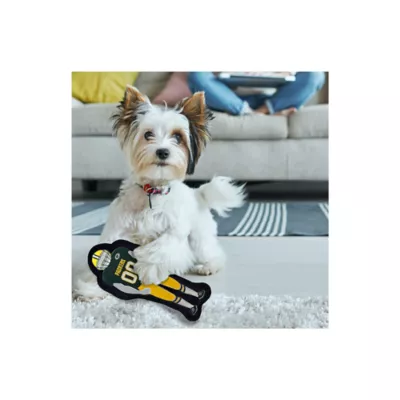 Product Pets First Green Bay Packers Player Tough Dog Toy
