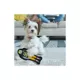 Product Pets First Green Bay Packers Player Tough Dog Toy