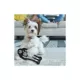 Product Pets First Las Vegas Raiders Player Tough Dog Toy