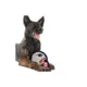Product Pets First New England Patriots Helmet Tough Dog Toy