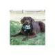 Product Pets First Philadelphia Eagles Jersey Tough Dog Toy