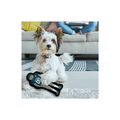 Product Pets First Philadelphia Eagles Player Tough Dog Toy