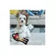 Product Pets First San Francisco 49ers Player Tough Dog Toy