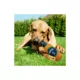 Product Pets First Seattle Mariners Plush Bottle Dog Toy