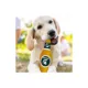 Product Pets First Michigan State Spartans Plush Bottle Dog Toy