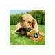 Product Pets First Michigan State Spartans Plush Bottle Dog Toy