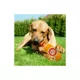 Product Pets First Clemson Tigers Plush Bottle Dog Toy
