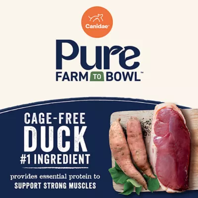 Product Canidae Pure Adult Dry Dog Food - Grain Free, Duck & Sweet Potato