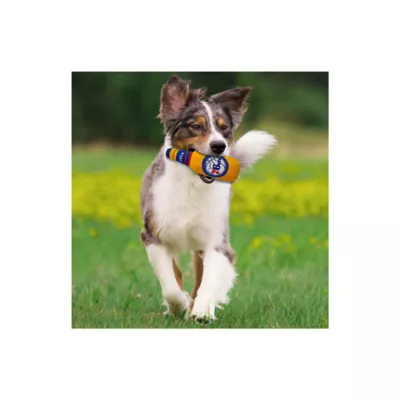 Product Pets First Philadelphia 76ers Plush Bottle Dog Toy