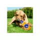 Product Pets First Kentucky Wildcats Plush Bottle Dog Toy