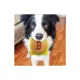 Product Pets First Boston Red Sox Plush Hamburger Dog Toy