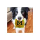 Product Pets First Michigan Plush Hamburger Dog Toy