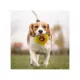 Product Pets First Auburn Plush Hamburger Dog Toy