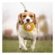 Product Pets First Pittsburgh Steelers Plush Hamburger Dog Toy