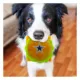 Product Pets First Dallas Cowboys Plush Hamburger Dog Toy