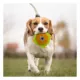 Product Pets First Dallas Cowboys Plush Hamburger Dog Toy
