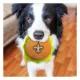 Product Pets First New Orleans Saints Plush Hamburger Dog Toy