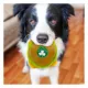 Product Pets First Boston Celtics Plush Hamburger Dog Toy