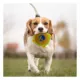Product Pets First Golden State Warriors Plush Hamburger Toy