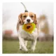 Product Pets First Miami Heat Plush Hamburger Dog Toy