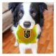 Product Pets First Las Vegas Golden Knights Plush Hamburger Dog Toy