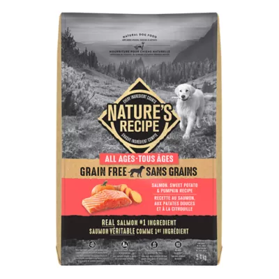 Nature's Recipe Grain Free Adult Dog Food Salmon